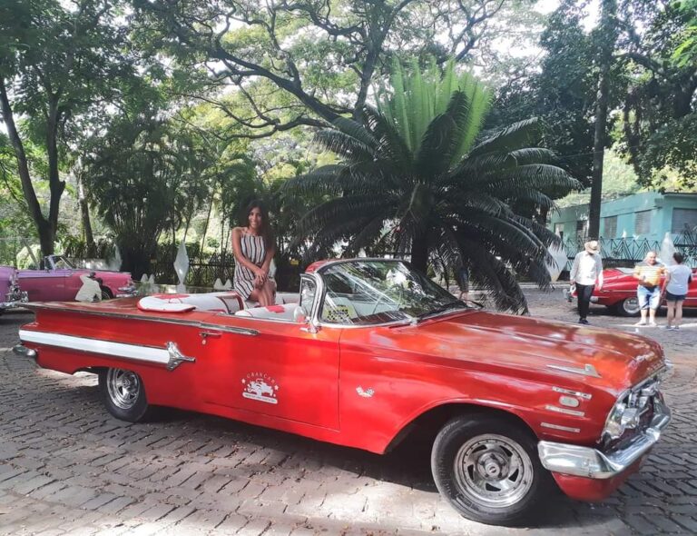 WhatsApp Image 2023-10-25 at 4.50.24 PM